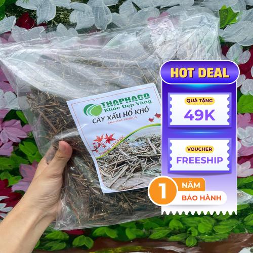 Mẫu dược liệu cây xấu hổ khô sơ chế đúng cách