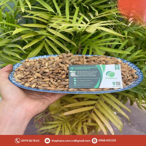 Liều lượng và thời gian sử dụng ké đầu ngựa an toàn