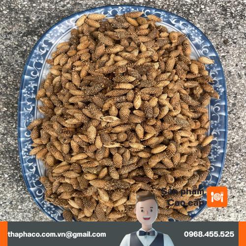 Quy trình sơ chế và sao vàng ké đầu ngựa khô