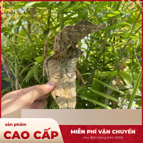 Lưu ý khi sử dụng lá khôi tía khô
