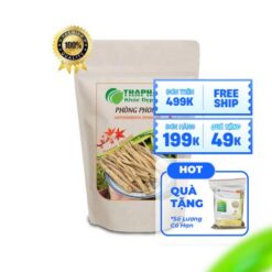 Phòng Phong Khô Thaphaco – Hỗ Trợ Xương Khớp, Giải Cảm