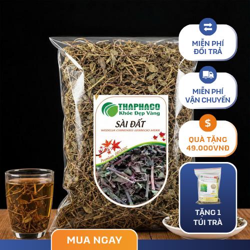 Toàn cảnh bụi cây sài đất mọc tự nhiên