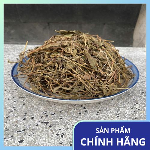 Đặc điểm chi tiết lá và hoa của cây sài đất