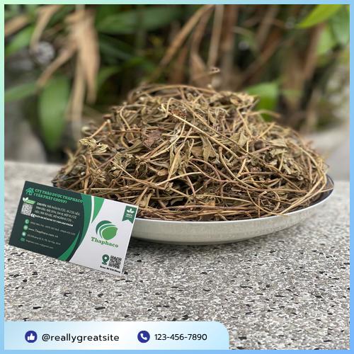 Sài đất tươi rửa sạch chuẩn bị sử dụng